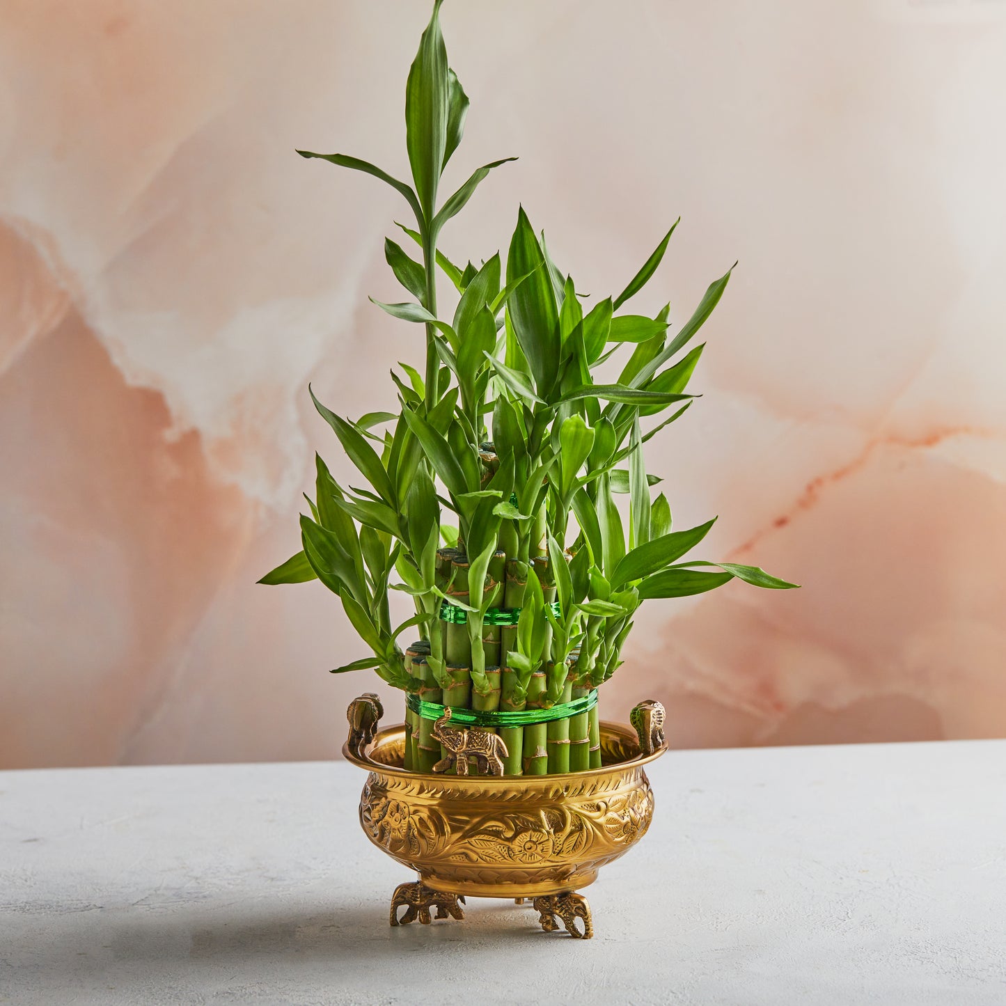 Handcrafted Brass Planter | Urali | Small or Medium